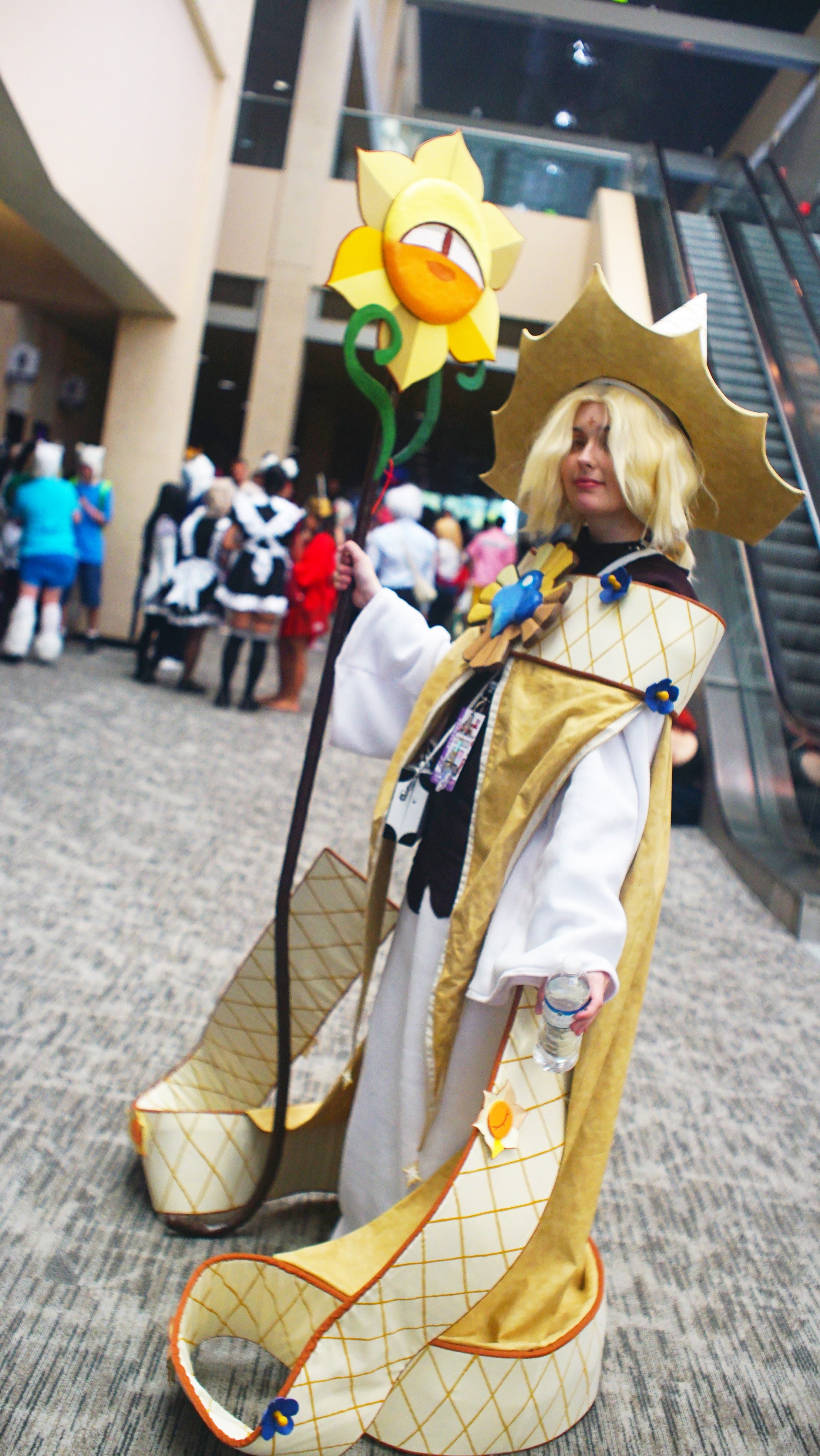 dsc00764.jpg